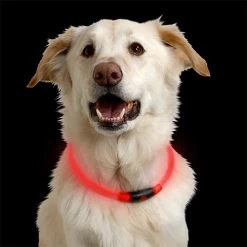 Nite Ize NiteHowl LED Safety Necklace / NiteLife LED Necklace -Flashlight Discount Store Nite Ize NiteHowl LED Safety Necklace 4